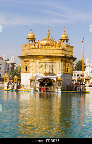 Goldener Tempel, Amritsar Gurdwara niemand Stockfoto