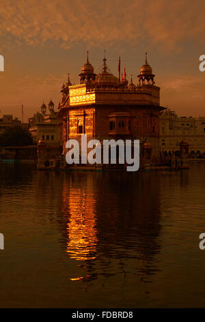 Goldener Tempel, Amritsar Gurdwara niemand Stockfoto