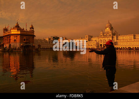 1 Erwachsener Mann Golden Tempel Amritsar Gurdwara Teich Seite Gottesdienst Stockfoto