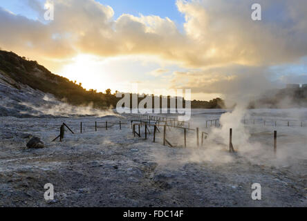 Die Solfatara ist ein flacher Vulkankrater mit Dampf mit schwefelhaltige Dämpfe (bei Pozzuoli, nahe Neapel). Stockfoto