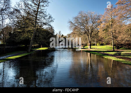 Kearsney Abbey Parks. Stockfoto