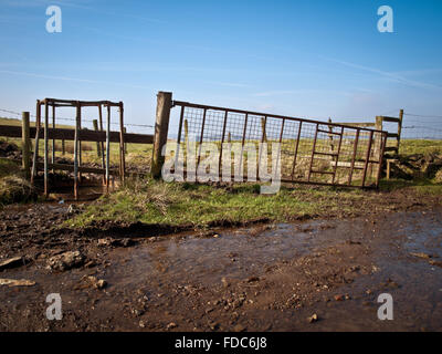 Tränke für das Vieh auf dem Weg zur Hartshead Hecht Stockfoto