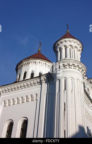 Fragment der Kathedrale Mariä Himmelfahrt der Heiligen Mutter Gottes in Vilnius, Litauen Stockfoto