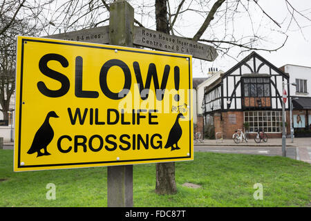 Gelbes Warnschild in London, UK - langsam Wildlife Crossing Stockfoto