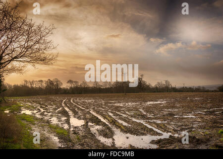 Wasser angemeldet Felder Stockfoto