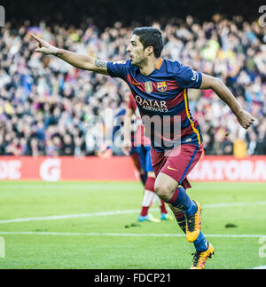 Barcelona, Katalonien, Spanien. 30. Januar 2016. FC Barcelona nach vorne SUAREZ feiert sein Tor während der BBVA-League-Spiel gegen Athletic Club im Stadion Camp Nou in Barcelona Credit: Matthias Oesterle/ZUMA Draht/Alamy Live News Stockfoto