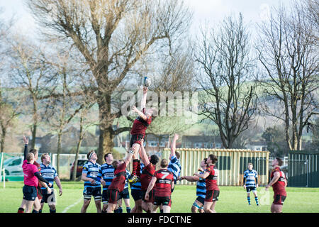 Aberystwyth, West Wales, UK 30. Januar 2016 Sport. Aberystwyth RFC (1. Mannschaft) gegen Athletic RFC Carmarthen (1. Mannschaft) spielen sich gegenseitig in der SWALEC National League. Aberystwyth sind in ihrem eigenen Revier. Wie Hagelkörner kurz vor Halbzeit Aberystwyth nehmen die Führung mit einem Versuch und Konvertierung überliefert. © Trébuchet Fotografie / Alamy News Live Stockfoto