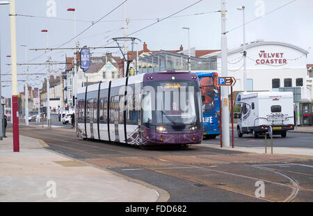 Blackpool Flexity-Tram vorbei an einem Bus an der Promenade, Blackpool Stockfoto