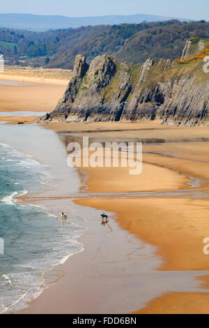 Pferde am Strand von Three Cliffs Bay auf der Gower Halbinsel in South Wales. Stockfoto