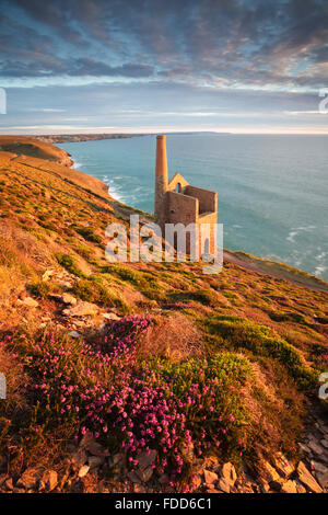 Motor Haus bei Wheal Coates in der Nähe von St. Agnes in Cornwall. Stockfoto