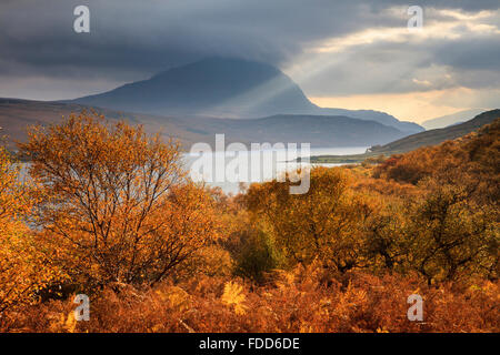 Herbstfärbung auf das westliche Ufer von Loch Loyal in der North West Highlands von Schottland, Stockfoto
