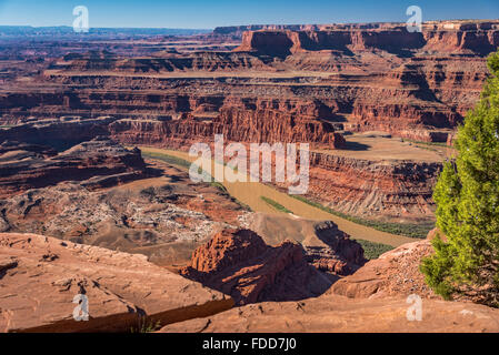 Green River fließt durch den Canyon Lands National Park. Stockfoto