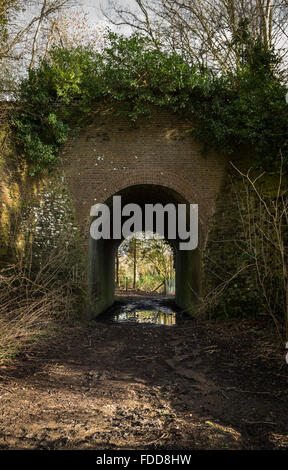 Am alten Rinder Tunnel unter einer alten Eisenbahnlinie in der Landschaft von Sussex. Stockfoto