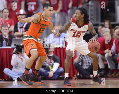 Raleigh, North Carolina, USA. 30. Januar 2016. ANTHONY BARBER (12) der North Carolina State dribbelt den Ball gegen ANGEL RODRIGUEZ (13) von Miami. Die North Carolina State University Wolfpack gehostet Miami Hurricanes in der PNC Arena in Raleigh, NC-Credit: Fabian Radulescu/ZUMA Draht/Alamy Live News Stockfoto