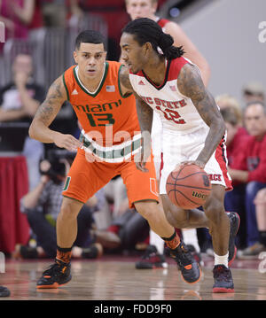 Raleigh, North Carolina, USA. 30. Januar 2016. ANTHONY BARBER (12) der North Carolina State dribbelt den Ball gegen ANGEL RODRIGUEZ (13) von Miami. Die North Carolina State University Wolfpack gehostet Miami Hurricanes in der PNC Arena in Raleigh, NC-Credit: Fabian Radulescu/ZUMA Draht/Alamy Live News Stockfoto