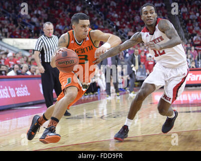 Raleigh, North Carolina, USA. 30. Januar 2016. ANGEL RODRIGUEZ (13) von Miami dribbelt den Ball gegen ANTHONY BARBER (12) der North Carolina State University. Die North Carolina State University Wolfpack gehostet Miami Hurricanes in der PNC Arena in Raleigh, NC-Credit: Fabian Radulescu/ZUMA Draht/Alamy Live News Stockfoto