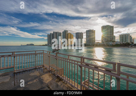 Sunny Isles Beach, Miami, Florida - Pelikan im pier Stockfoto