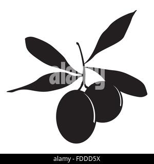 Vektor-Illustration von Oliven Stock Vektor