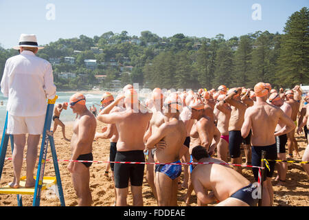 Macquarie Big Swim, 42. jährliche große Schwimmerei von Palm Beach nach Whale Beach Sydney, ein 2,8km m langes Schwimmen im Meer, das Teil der Pittwater Ocean Swims Serie ist, die Wettbewerber haben einen gestaffelten Start für Männer/Frauen und für Altersgruppen. Es gibt auch einen kürzeren 1km-Gang. Dies ist eines der legendären australischen Schwimmbäder und zieht viele männliche und weibliche Teilnehmer an. Bronwyn Bishop Bundespolizei bereitet sich auf das Männer-Schwimmwettkampf vor Stockfoto