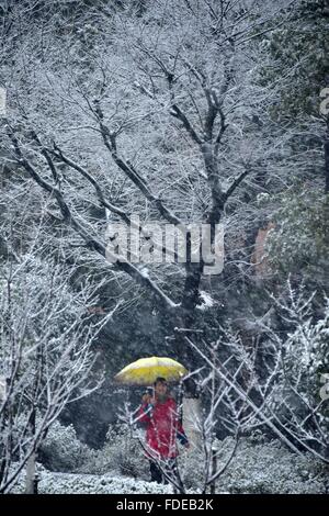 Wuhan, China Hubei Provinz. 31. Januar 2016. Eine Frau kommt in Schnee in Wuhan, der Hauptstadt der Provinz Zentral-China-Hubei, 31. Januar 2016. © Du Huaju/Xinhua/Alamy Live-Nachrichten Stockfoto