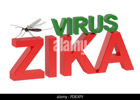 Zika Virus Konzept auf grünem Hintergrund isoliert Stockfoto