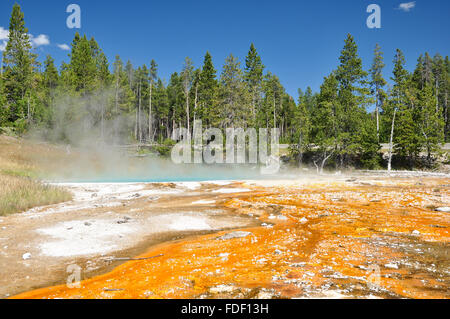 Die Paint-Löcher: Eines bunten heißen Quellen des Yellowstone. Stockfoto