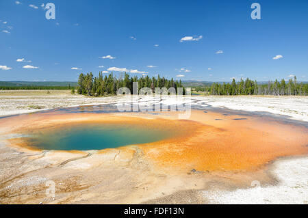 Das Midway Geyser Basin: Eine der Yellowstone bunte Thermalquellen. Stockfoto