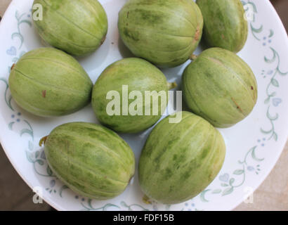 Wanga Früchte, Cucumis Melo Subspecies Melo, Gurke wie aber abgerundete längliche Frucht, leichte farbige Nähte, Gemüse, Salat Stockfoto