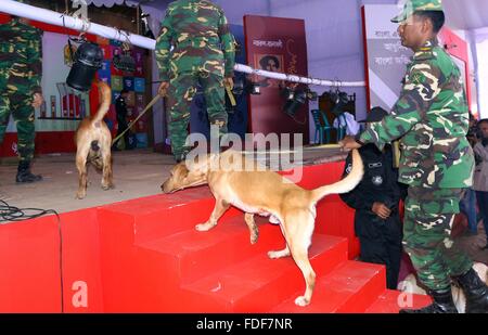 Dhaka, Bangladesch. 31. Januar, 2016. Sicherheit Beamte einschließlich Armee und die Mitglieder der Elite Force Rapid Action Battalion (RAB) die Bühne mit einem ausgebildeten Hund an der Bangla Akademie Buchmesse Räumlichkeiten in Dhaka, Bangladesch vom 31. Januar 2016 prüfen. Sicherheit wurde für die jährliche Veranstaltung, die am 01. Februar wird mit Hunderten von Buch Stände beginnen. Bangladesch US-Schriftsteller-blogger Avijit Roy war auf dem Weg zurück von der Buchmesse im Jahr 2015 getötet. Stockfoto