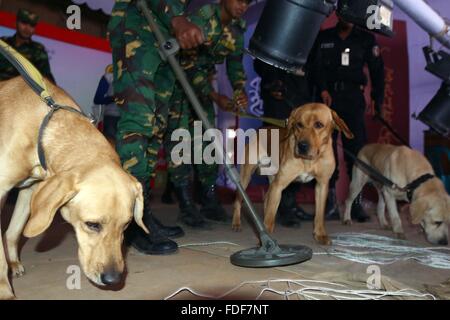 Dhaka, Bangladesch. 31. Januar, 2016. Sicherheit Beamte einschließlich Armee und die Mitglieder der Elite Force Rapid Action Battalion (RAB) die Bühne mit einem ausgebildeten Hund an der Bangla Akademie Buchmesse Räumlichkeiten in Dhaka, Bangladesch vom 31. Januar 2016 prüfen. Sicherheit wurde für die jährliche Veranstaltung, die am 01. Februar wird mit Hunderten von Buch Stände beginnen. Bangladesch US-Schriftsteller-blogger Avijit Roy war auf dem Weg zurück von der Buchmesse im Jahr 2015 getötet. Stockfoto