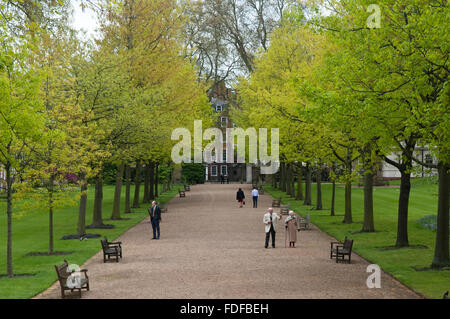 Menschen in Grays Inn Spaziergänge und Gardens, London, einer der vier Inns Of Court des britischen Rechtssystems Stockfoto