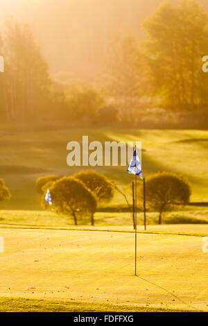 Morning on Golf Course Stockfoto
