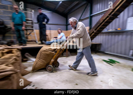 Hopfenarbeitseinsatz am letzten Tag der Ernte der Saison an Kitchenham Farm, Bodiam, East Sussex. Stockfoto