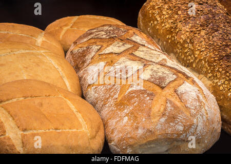 Verschiedene Arten von Brot auf dem Display in einer Bäckerei (Frankreich). Vielzahl von attraktiven Hand Handwerker gemacht Brot auf dem Display. Stockfoto