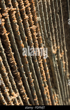 Rost und Mineralien sterben die Heizkörper von einem verlassenen Oldtimer in ein italienischer Bergbau-Lager in der Nähe von Dallol Hot Springs in Äthiopien. Stockfoto