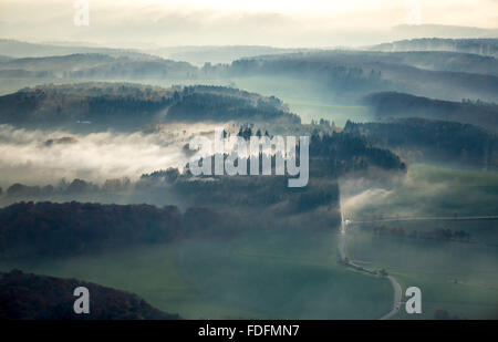 Landstraße durch den Wald, Dichter Nebel, in Nastätten Im Taunus, Rheinland-Pfalz, Deutschland Stockfoto