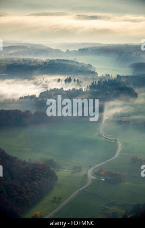 Landstraße durch den Wald, Dichter Nebel, in Nastätten Im Taunus, Rheinland-Pfalz, Deutschland Stockfoto