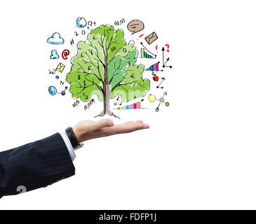 Nahaufnahme von Geschäftsmann Hand mit Baum im palm Stockfoto