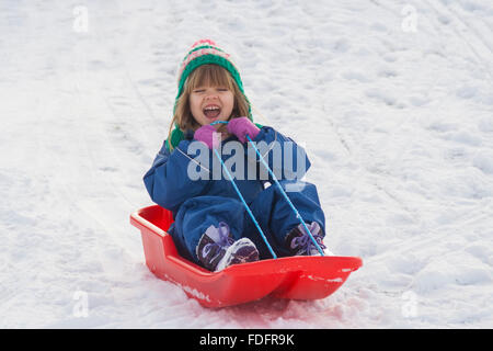 Kirriemuir, Schottland, 31. Januar 2016. 4 Jahre alte Schlitten Christabel Smith bergab in Neverland Spielpark, Kirriemuir, Schottland. Bildnachweis: Jonathan Smith/Alamy Live-Nachrichten. Stockfoto