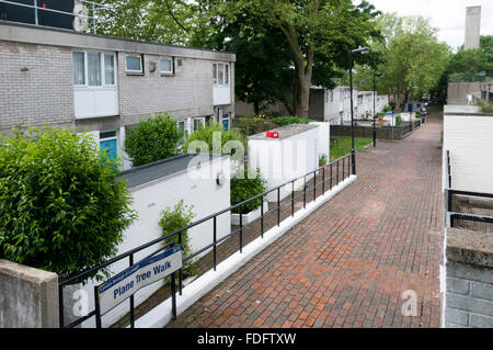 Platane-Spaziergang auf der 1960er und 1970er Jahren zentrale Hill Estate, Lambeth. Stockfoto