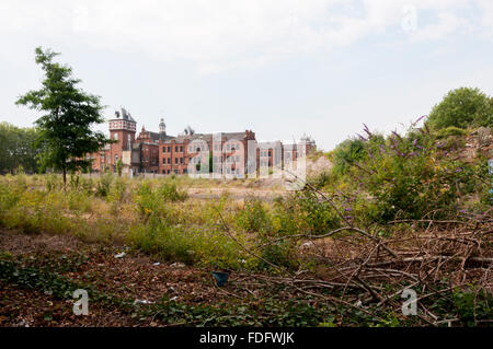 Dulwich Krankenhaus Brachfläche Entwicklung. Stockfoto