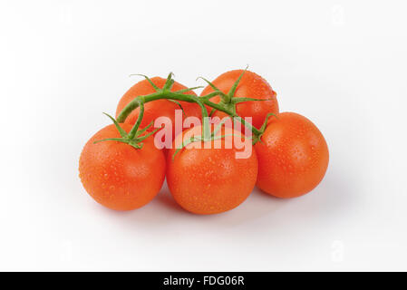 Reihe von gewaschenen Tomaten auf weißem Hintergrund Stockfoto