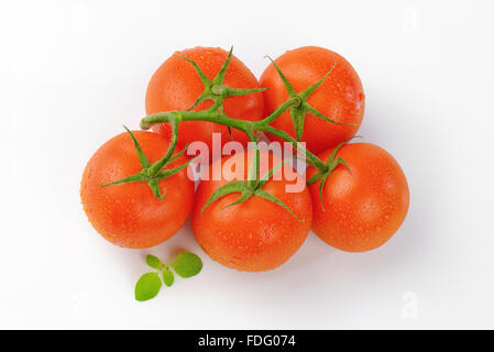 Reihe von gewaschenen Tomaten auf weißem Hintergrund Stockfoto