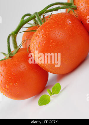 Nahaufnahme von gewaschenen Tomaten auf weißem Hintergrund Stockfoto