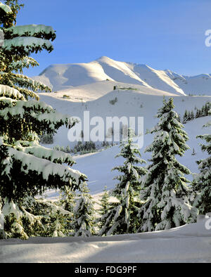 Mont Joly und Mont Joux in den Französischen Alpen Saint Gervais und Megeve vom Mont Arbois. Ein Winter Skigebiet in der Haute Savoie. Stockfoto