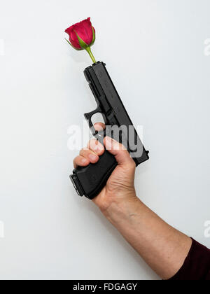 Hand mit Gewehr mit roter Rose in den Lauf als Symbol des Friedens und der Freundschaft Stockfoto