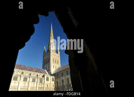 Norwich Cathedral südlichen Querschiff aus den Kreuzgängen, Norfolk, Großbritannien angesehen. Stockfoto