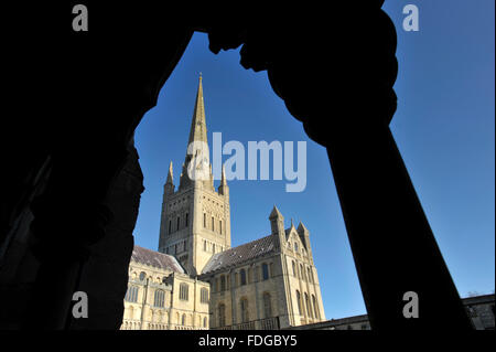 Norwich Cathedral südlichen Querschiff aus den Kreuzgängen, Norfolk, Großbritannien angesehen. Stockfoto