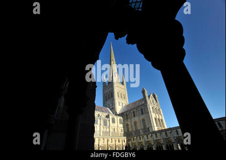 Norwich Cathedral südlichen Querschiff aus den Kreuzgängen, Norfolk, Großbritannien angesehen. Stockfoto