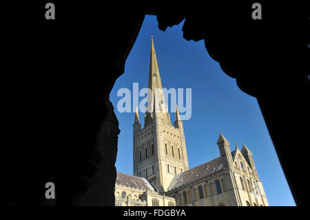 Norwich Cathedral südlichen Querschiff aus den Kreuzgängen, Norfolk, Großbritannien angesehen. Stockfoto